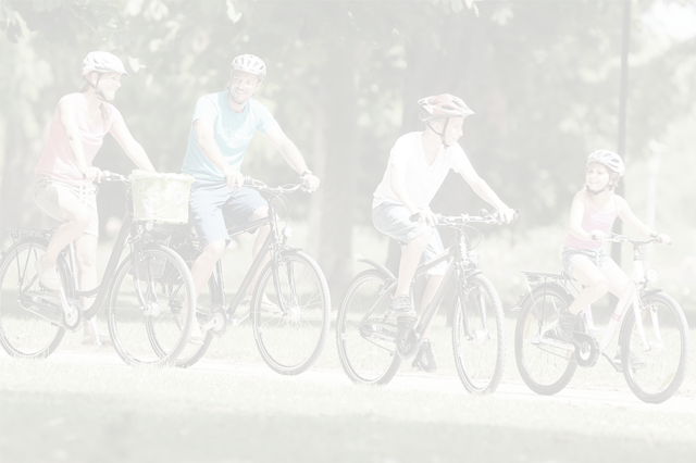 Der Fahrradspezialist Viezens Celle